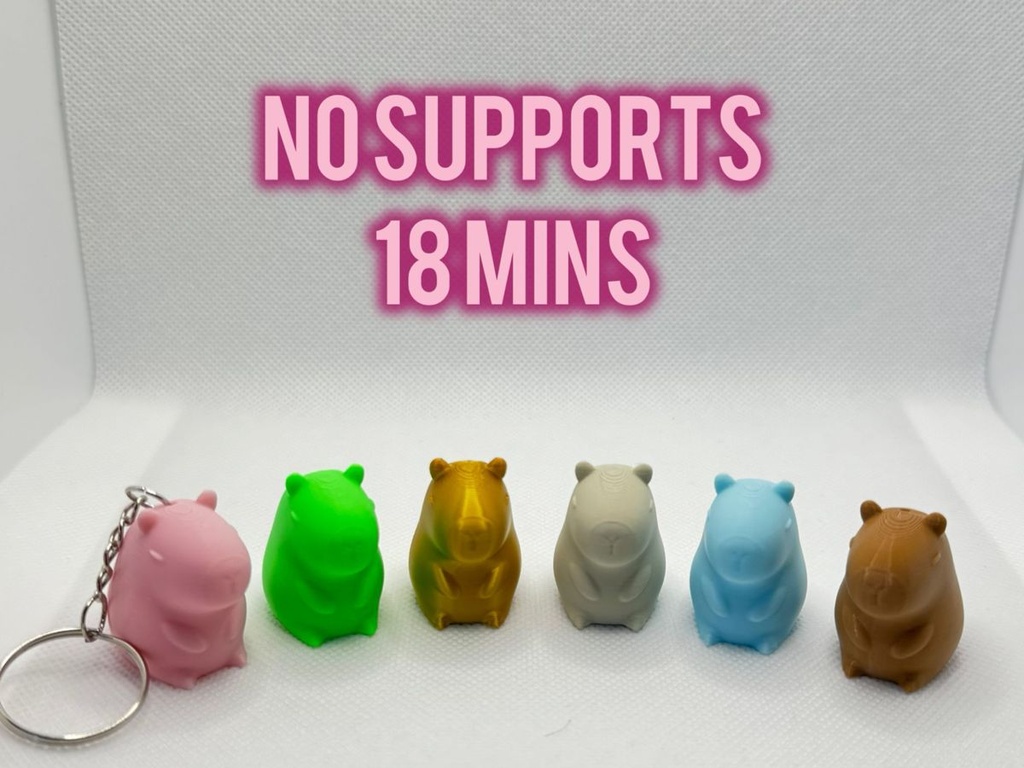 Porte-clés Mini Capybara - 1