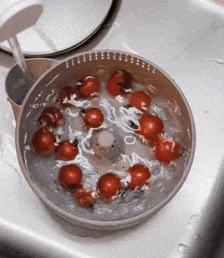 Laveur égouttoir fruits et légumes - 2