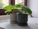 Pot de fleurs avec soucoupe