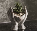 Vase mains en cœur